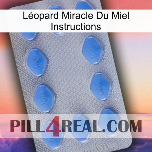 Léopard Miracle Du Miel Instructions 21.jpg